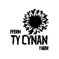 Sunflower Pick Your Own Sticker by Ty Cynan