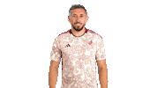 World Cup Mexico Sticker by MiSelecciónMX