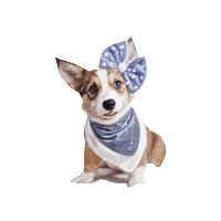 belluccimanila belluccimanila sundaethecorgi Sticker