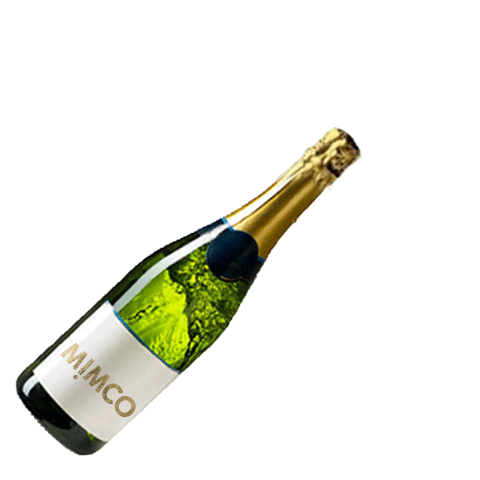celebration champagne Sticker by MIMCO