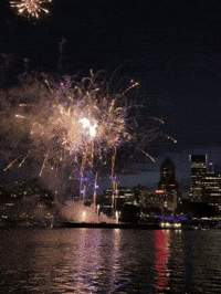 America Fireworks GIF by EDGARDUDE