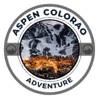 Adventure Skiing Sticker by SacredPlantCO