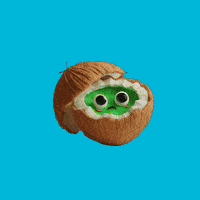 Sad Coco GIF