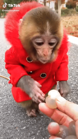 v09044b30000bvbktmlpj0d5nta9q2ng.MP4