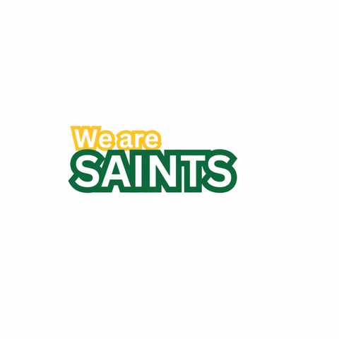 St Clair Saints GIF by St. Clair College