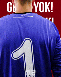 King Of The North GIF by SAMSUNSPOR