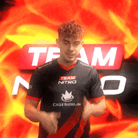TeamNitroGG sad team marco nitro GIF