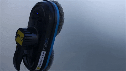 conga limpiacristales GIF