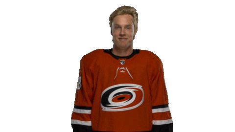Ryan Dzingel Sticker by Carolina Hurricanes