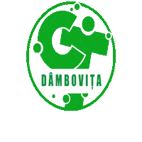 Youth Volunteering Sticker by FITT Timisoara