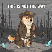 Shiba Inu No GIF by Doge Pound