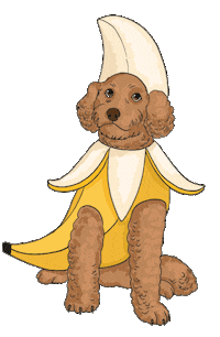 KarenMabon banana cockapoo cavapoo dog costume Sticker