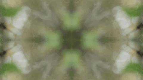 Art Love GIF by jorgemariozuleta