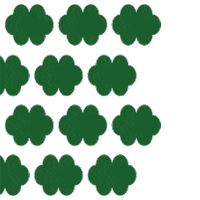 Slowturtleshop logo pattern shell 로고 Sticker