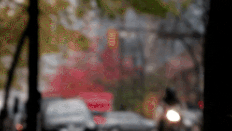 Charlynelson giphyupload GIF