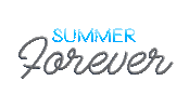 Celebrate Happy Hour Sticker by SVEDKA