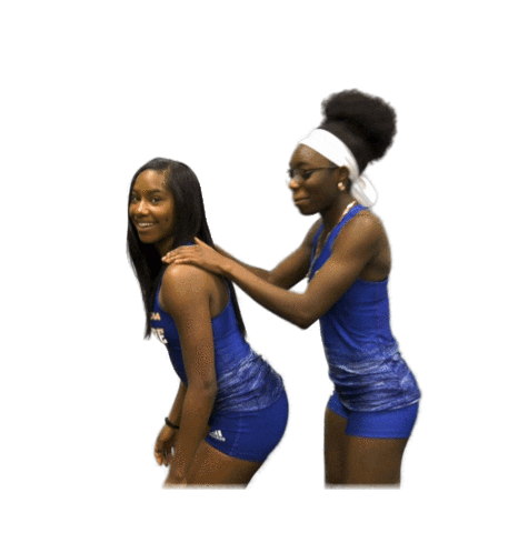 College Sports Love Sticker by Delaware Blue Hens