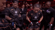 Mixed Martial Arts Sport GIF by UFC