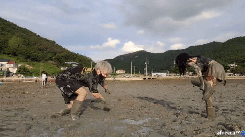 a0562ab096a24a46aad04ced9ce4af05 giphyupload GIF