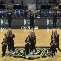 Happy Sport GIF by Horizon League