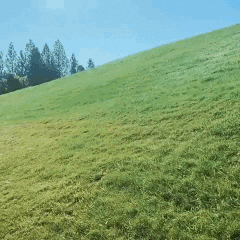 Richard_Henke giphyupload GIF