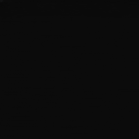 Birthday Bowie GIF by tunadunn