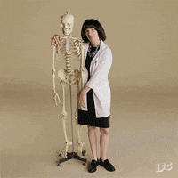 comedy sketch GIF by IFC