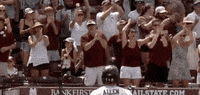 Notre Dame Baseball GIF by NCAA Championships