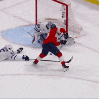 Celebrate Hands Up GIF by Florida Panthers