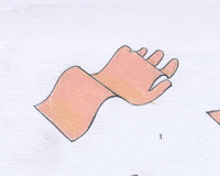 kohanawilson animation 2d animation hand drawn animation brush pen GIF