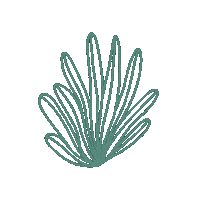 Morning Plant Sticker