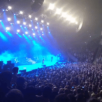 greenday GIF by emibob