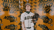 Baseball Bison GIF by NDSU Athletics