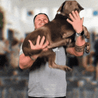 Swatio GIF by Swat.io Social Media Management