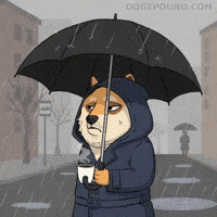 Sad Over It GIF by Doge Pound