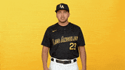 Cal State La Sport GIF by Cal State LA Golden Eagles