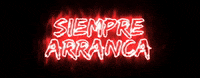GIF by Bujías Hescher