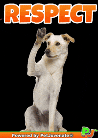 Henlo Hooman Fren GIF by PetJuvenate - PJ