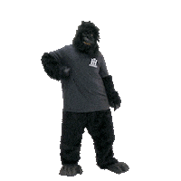 HurlingHatchet dance party dancing weekend Sticker