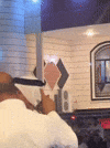 Dance GIF
