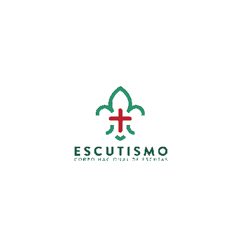 Scouts Corpo Nacional De Escutas Sticker by escutismo