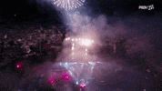 paokfamily GIF by PAOK FC