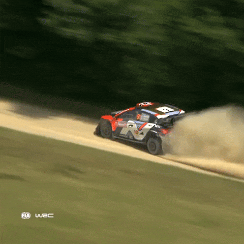 Drift Poland GIF by FIA World Rally Championship