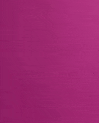 French Fries GIF by cintascotch