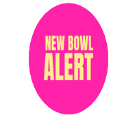 Pokebowl Sticker by Yeahbowl