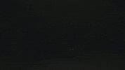 Skating Josh Homme GIF by Queens of the Stone Age