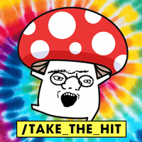zoomercoin excited mushroom zoomer zoomer coin GIF