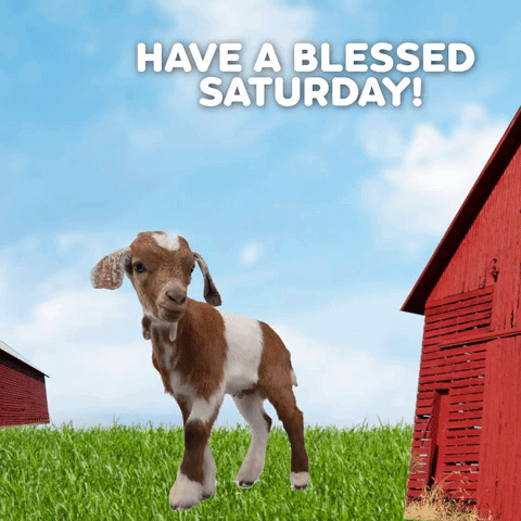 Have A Blessed Saturday!