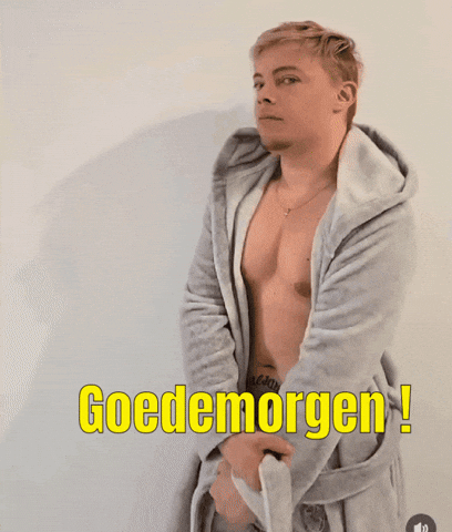 Goedemorgen Goedemiddag GIF by Yuri Togkces