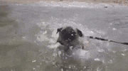 Happy Trending GIF